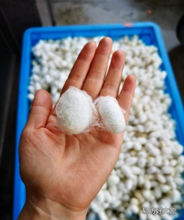 蚕丝被好不好,蚕丝被买到不好的