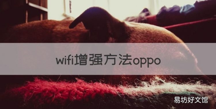 wifi增强方法oppo，wifi增强器哪款最好用
