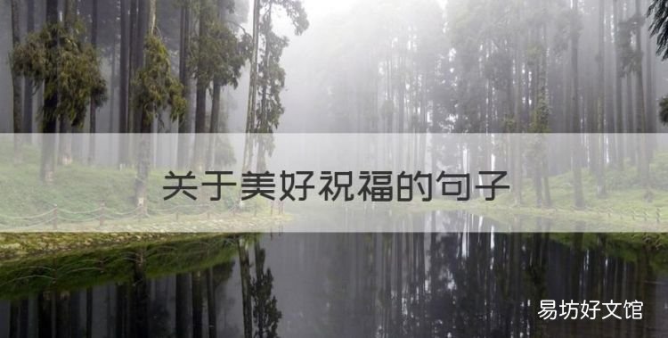 祝福优美句子简短,关于美好祝福的句子