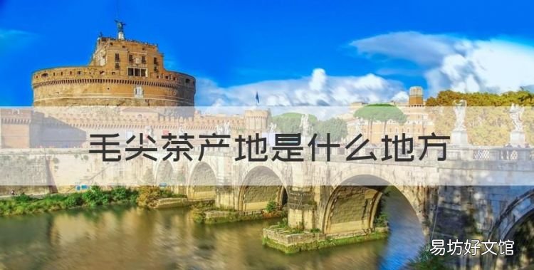 毛尖茶哪里產的最好，毛尖茶產地是什么地方