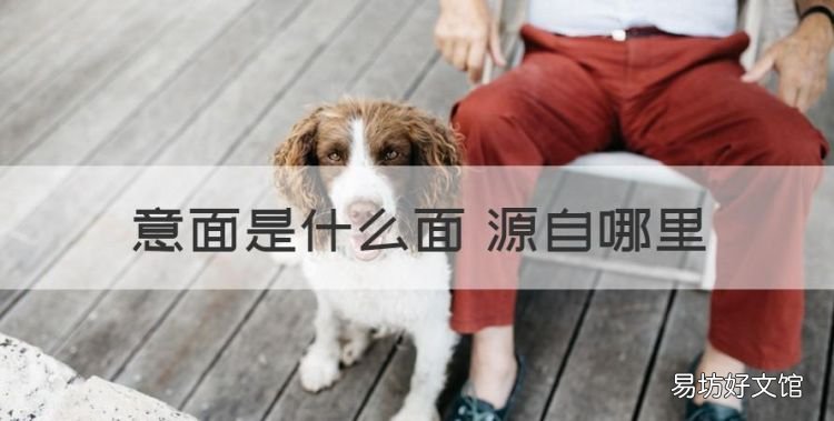 意大利面是哪个国家的,意面是什么面 源自哪里