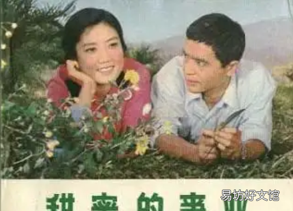 最耐看的5位女明星脸 最具美人脸的十位女星