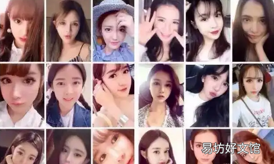 最耐看的5位女明星脸 最具美人脸的十位女星
