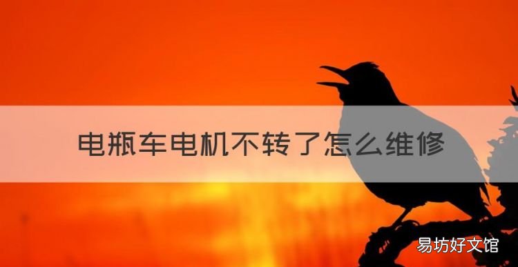 电瓶车电机不转了怎么维修,电动车电机维修大全故障排除