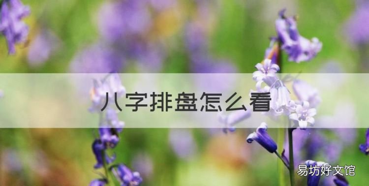 八字排盘怎么看，如何看懂自己的八字排盘结果