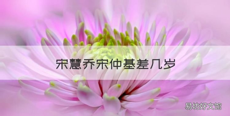 宋慧乔宋仲基差几岁,宋慧乔比宋仲基大几岁 他俩是怎么认识的呢