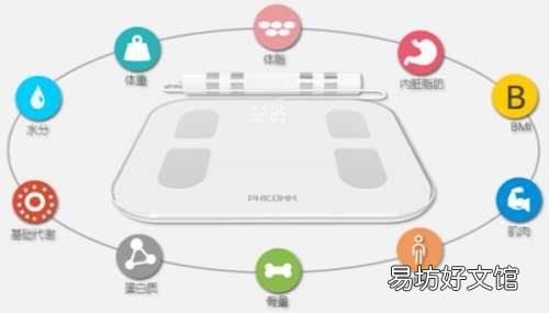 一文告诉你体脂秤测体脂原理 体脂秤的工作原理是什么