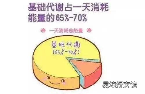 一文告诉你体脂秤测体脂原理 体脂秤的工作原理是什么