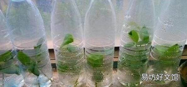 大矿泉水瓶有什么用处,12l矿泉水瓶的用处