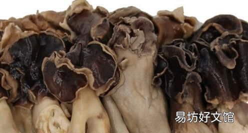 巴楚蘑菇的科普介绍,巴楚蘑菇的优缺点