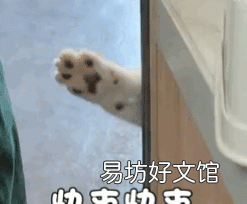 婴儿谷物米粉测评