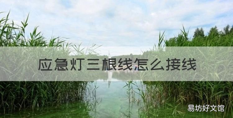 应灯三根线怎么接线,三根线的插头怎么接