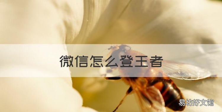 微信怎么登王者，王者荣耀可以用微信号登陆吗