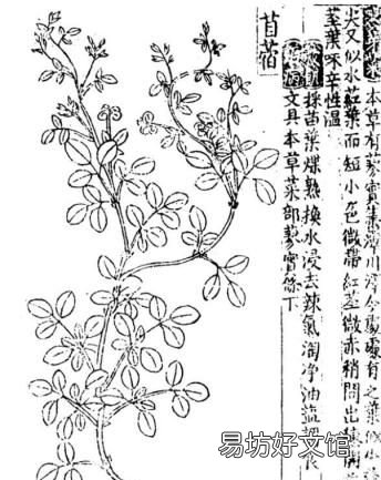 救荒本草对后世及世界的影响