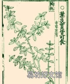 救荒本草对后世及世界的影响
