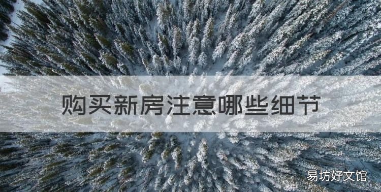 购买新房注意哪些细节,买房需要注意那些问题和细节