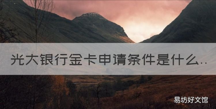 光大银行金卡申请条件是什么，光大信用卡金卡是什么意思啊