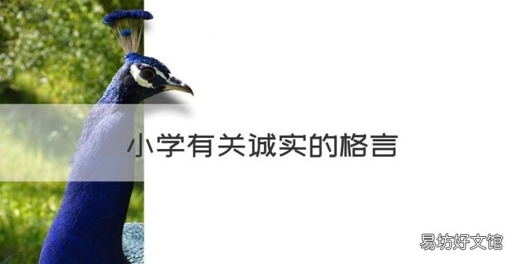 小学有关诚实的格言,诚信的名言名句小学二年级