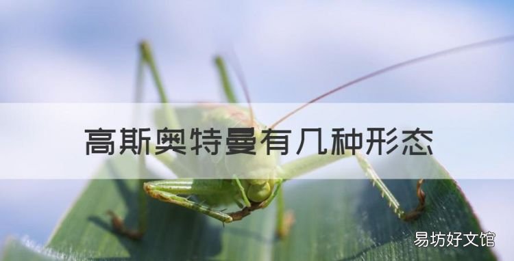 高斯奥特曼有几种形态