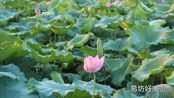 闰4月有什么讲究