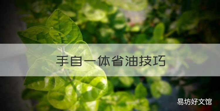 手自一体省油技巧,传祺gs5手自一体怎么开成手动挡