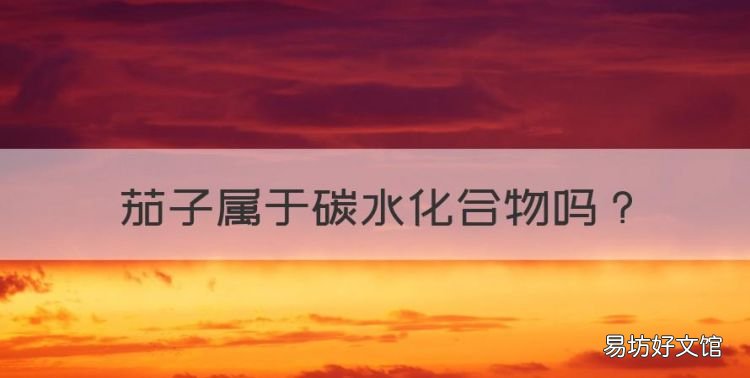 茄子属于碳水化合物
