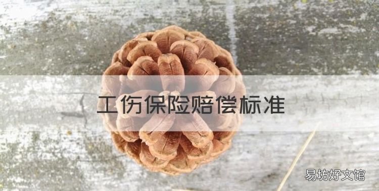 工伤保险赔偿标准,2023劳动局工伤保险赔偿标准是多少
