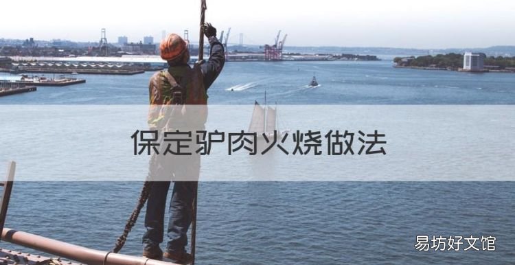 驴肉火烧怎么做，保定驴肉火烧做法