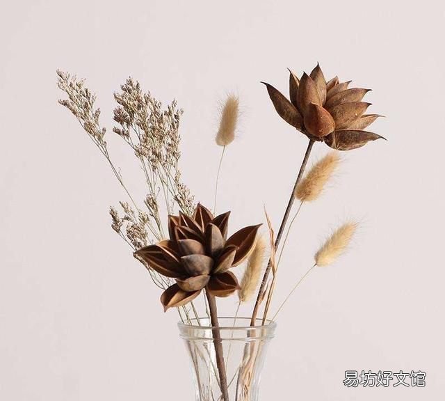 怎么去除干花上的霉斑,干花上的霉斑怎么处理