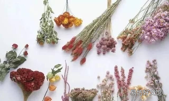 怎么去除干花上的霉斑,干花上的霉斑怎么处理
