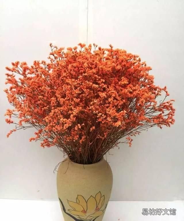 怎么去除干花上的霉斑,干花上的霉斑怎么处理