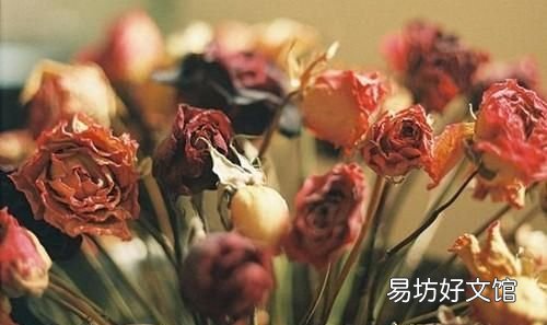 怎么去除干花上的霉斑,干花上的霉斑怎么处理