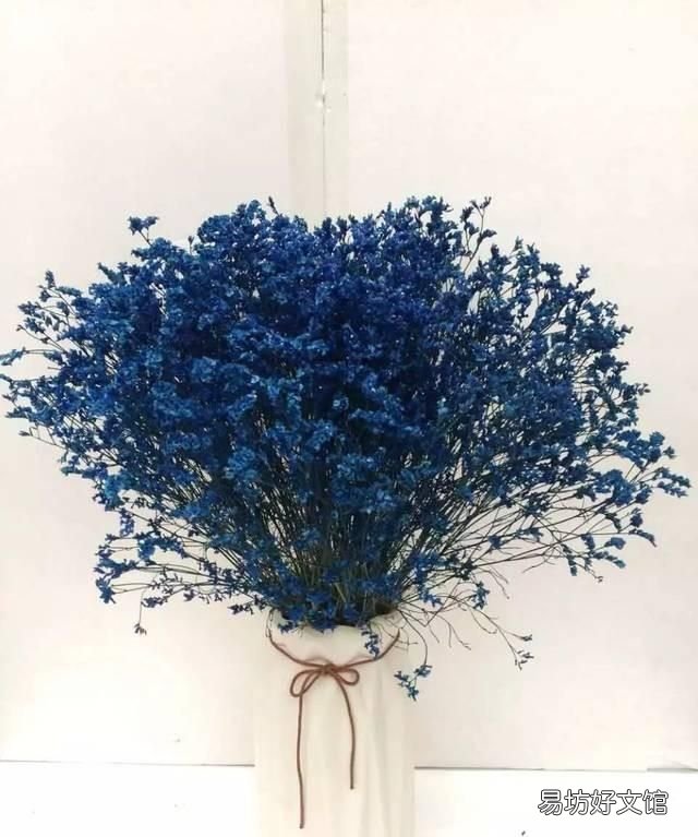 怎么去除干花上的霉斑,干花上的霉斑怎么处理