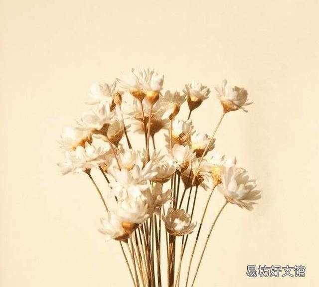 怎么去除干花上的霉斑,干花上的霉斑怎么处理