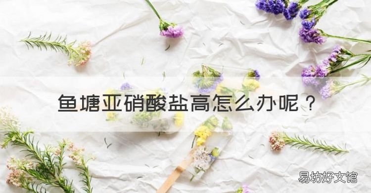 鱼塘亚硝酸盐高怎么办,水产养殖亚硝酸盐高了怎么处理啊