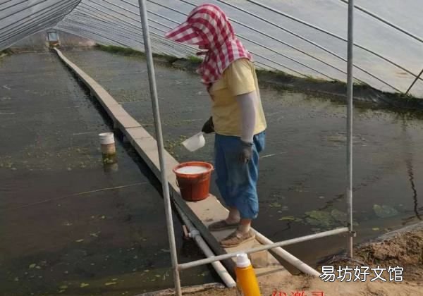 鱼塘亚硝酸盐高怎么办,水产养殖亚硝酸盐高了怎么处理啊