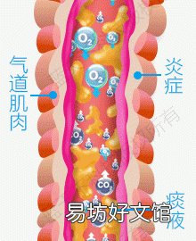 肺梗是什么病,什么是慢性阻塞性肺病