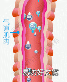 肺梗是什么病,什么是慢性阻塞性肺病