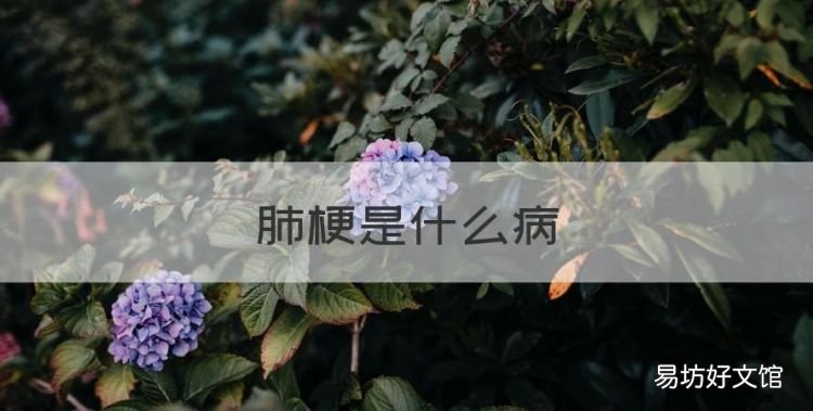 肺梗是什么病,什么是慢性阻塞性肺病