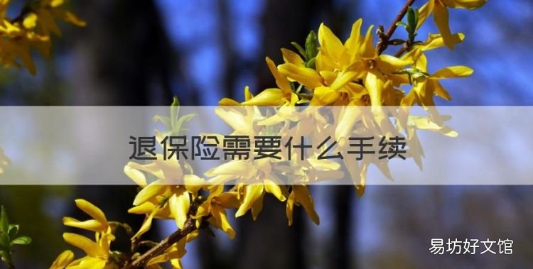 退保險需要什么手續，退社保需要什么手續