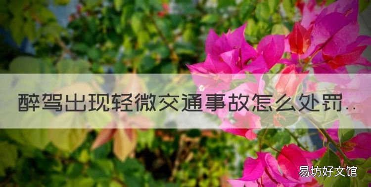 醉驾出现轻微交通事故怎么处罚