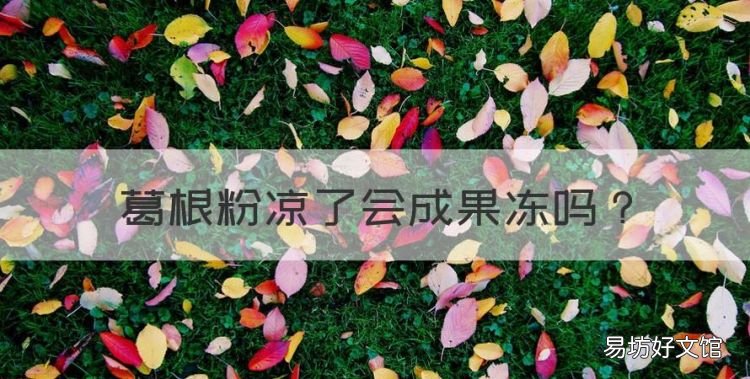 葛根粉怎么做成冻,葛根粉凉了会成果冻