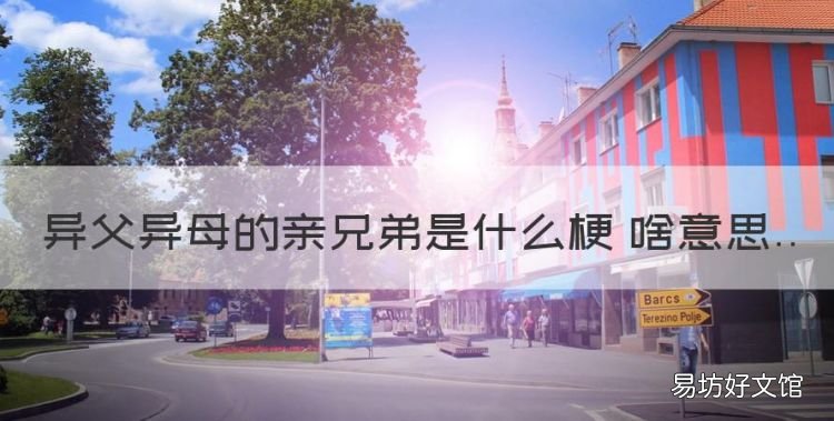 一母同胞的亲兄弟是什么意思,异父异母的亲兄弟是什么梗 啥意思