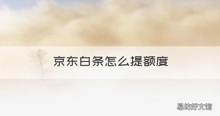 京东白条如何提额，京东白条怎么提额度