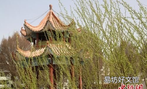 雨水节气习俗有哪些,雨水节气不同地域有哪些民俗习惯