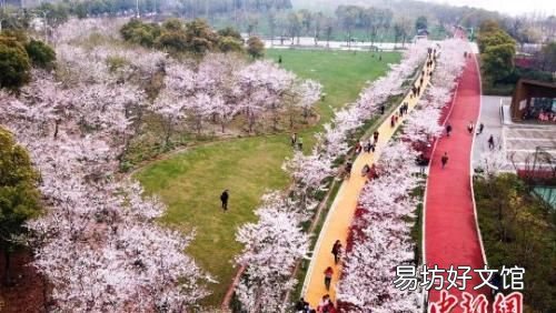 雨水节气习俗有哪些,雨水节气不同地域有哪些民俗习惯