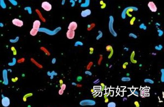 海洋中微生物有多少种 海洋中微生物数量最多
