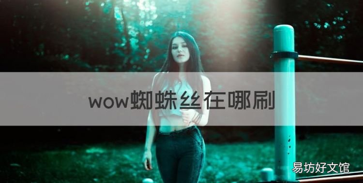 wow蜘蛛丝在哪刷,魔兽世界灵网蜘蛛丝哪里刷