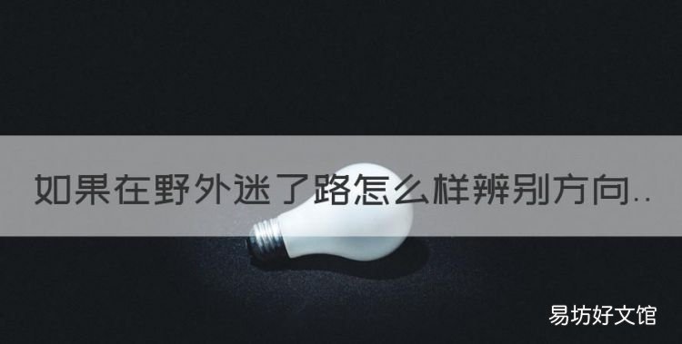 如果在野外迷了路怎么样辨别方向