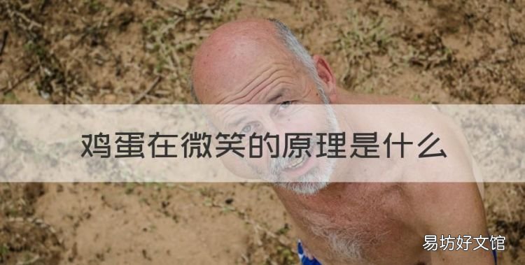 鸡蛋在微笑的原理是什么,鸡蛋浮起来的原理是什么